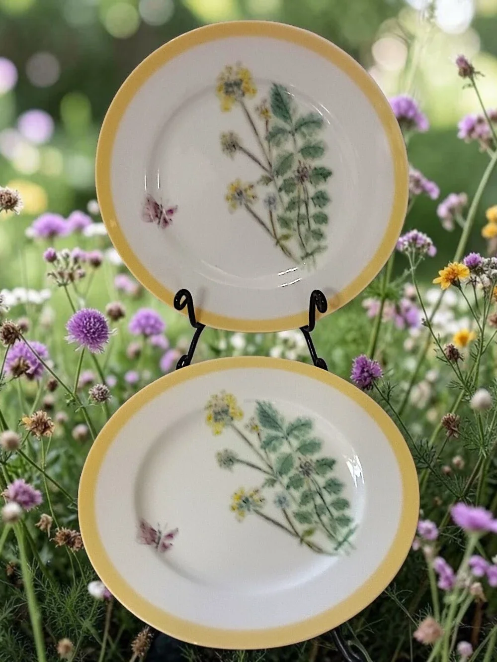 2 Williams Sonoma Flowering Herbs Salad Plates Yellow Burnet Purple Butterfly